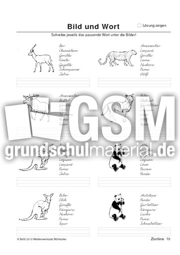 BuW Zootiere10.pdf